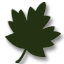 Texas Green Back to Top Icon